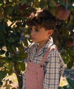 Fin & Vince Overall - Chili Stripes