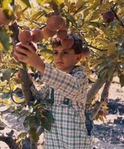 Fin & Vince Waterproof Dungarees - Fern French Plaid