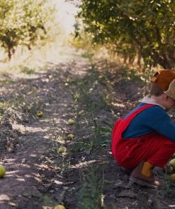 Fin & Vince Polo Sweater - Ocean Sale