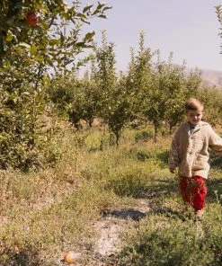 Fin & Vince Sale Classic Overall - Chili 28 Fin & Vince Sale Classic Overall - Chili