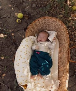 Fin & Vince Polar Fleece Pant - Ocean