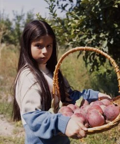 Fin & Vince Sale Colorblock Mock Neck Sweater - Vintage Blue