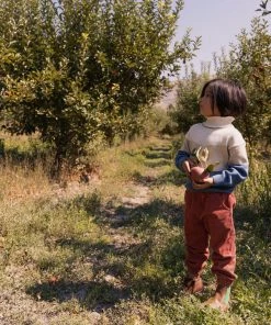 Fin & Vince Sale Colorblock Mock Neck Sweater - Vintage Blue