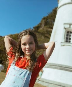 Fin & Vince Red, White And Blue Woven Pinafore - Strawberries