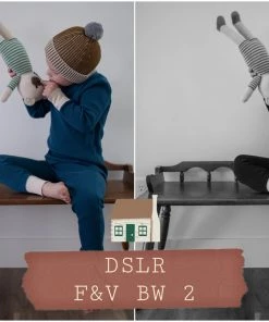 Fin & Vince DSLR Preset Pack Presets