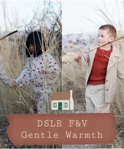 Fin & Vince DSLR Preset Pack Presets