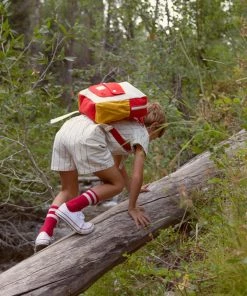 Fin & Vince Tour Backpack - Toddler Size - Colorblock