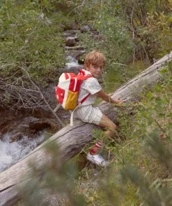 Fin & Vince Tour Backpack - Toddler Size - Colorblock