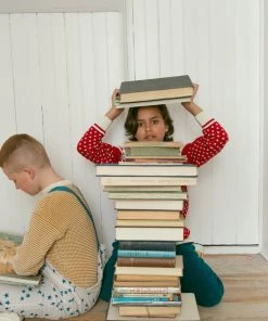 Fin & Vince Sale Holiday Sweater - Chili